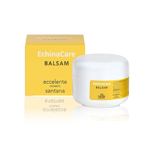 EchinaCare Balsam (Massage-Balsam) 50ml